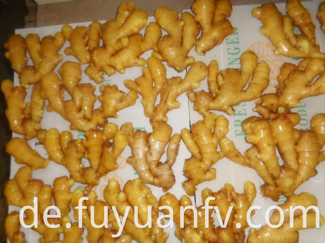 export to USA fresh ginger 